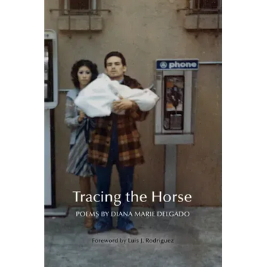 Tracing the Horse