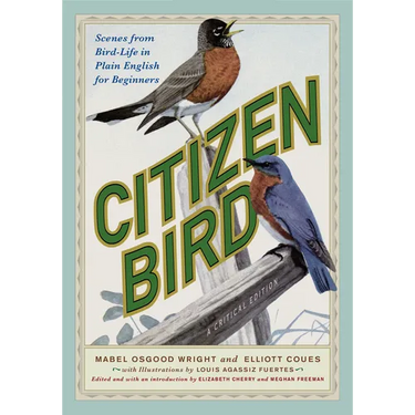 Citizen Bird: Scenes from Bird-Life in Plain English for Beginners, a Critical Edition