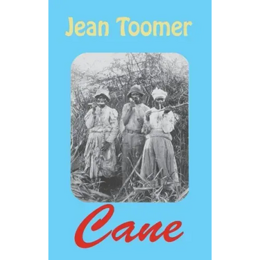 Cane