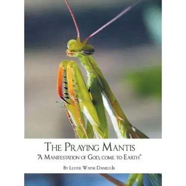 The Praying Mantis: "A Manifestation of God, Come to Earth"