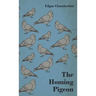 The Homing Pigeon