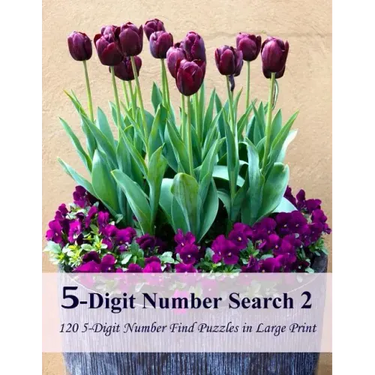 5-Digit Number Search 2: 120 5-Digit Number Find Puzzles in Large Print