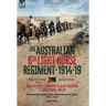 The Australian 6th Light Horse Regiment, 1914-19: Gallipoli and the Campaigns in Egypt, Palestine and Transjordan, 1914-19