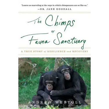 The Chimps of Fauna Sanctuary: A True Story of Resilience and Recovery