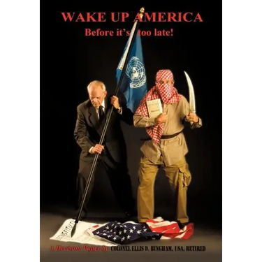 Wake Up America Before It's Too Late!: A Decision Paper by