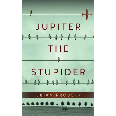 Jupiter the Stupider