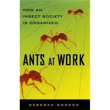 Ants at Work: How an Insect Society Is Organized