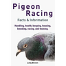 Pigeon Racing: Handling, health, keeping, housing, breeding, racing, and training. Facts & Information