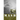 MASH