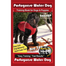 Portuguese Water Dog Training Book for Dog & Puppies By BoneUP DOG Training, Dog Care, Dog Behavior, Hand Cues Too! Are You Ready to Bone Up? Easy Tra