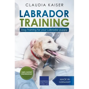 Labrador Training: Dog Training for Your Labrador Puppy