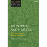 John Owen and Hebrews: The Foundation of Biblical Interpretation