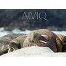 Aiviq: Life with Walruses