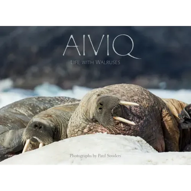 Aiviq: Life with Walruses