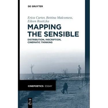 Mapping the Sensible: Distribution, Inscription, Cinematic Thinking