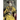 The Last Empress: the She-Dragon of China