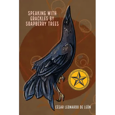 speaking with grackles by soapberry trees