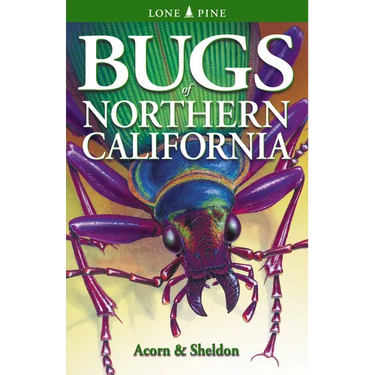 Bugs of Northern California