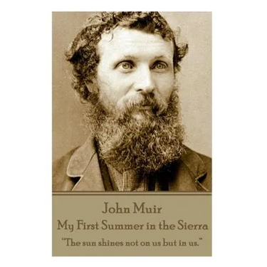 John Muir - My First Summer in the Sierra: "The sun shines not on us but in us."