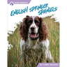 English Springer Spaniels