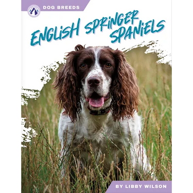 English Springer Spaniels