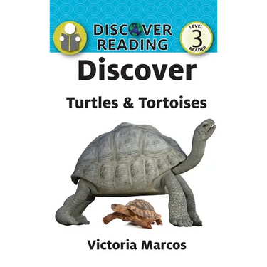 Discover Turtles & Tortoises