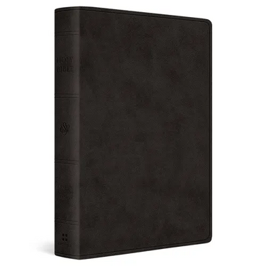 ESV Giant Print Value Personal Size Bible (Trutone, Black)