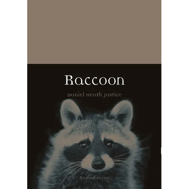 Raccoon