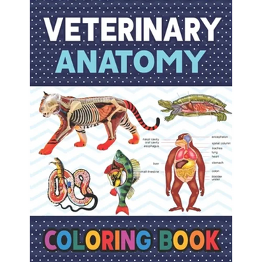 Veterinary Anatomy Coloring Book: Learn The Veterinary Anatomy With Fun & Easy. Animal Anatomy and Veterinary Physiology Coloring Book. Dog Cat Horse