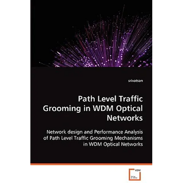 Path Level Traffic Grooming in WDM Optical Networks