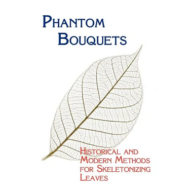 Phantom Bouquets: Historical and Modern Methods for Skeletonizing Leaves