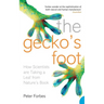 The Gecko's Foot: How Scientists are Taking a Leaf from Nature's Book