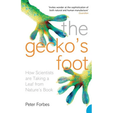 The Gecko's Foot: How Scientists are Taking a Leaf from Nature's Book