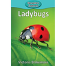 Ladybugs
