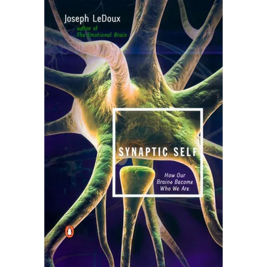 Synaptic Self: How Our Brains Become Who We Are
