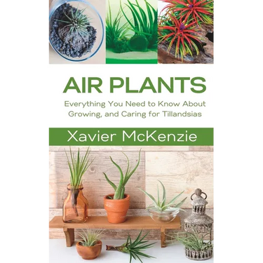 Air Plants: Everything You Need to Know About Growing, and Caring for Tillandsias