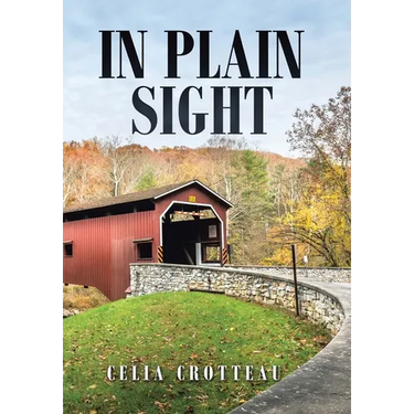 In Plain Sight