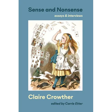 Sense and Nonsense: essays and interviews