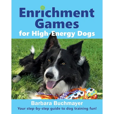 Enrichment Games for High-Energy Dogs: Your step-by-step guide to dog training fun!