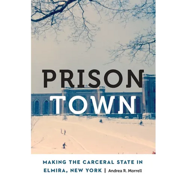 Prison Town: Making the Carceral State in Elmira, New York