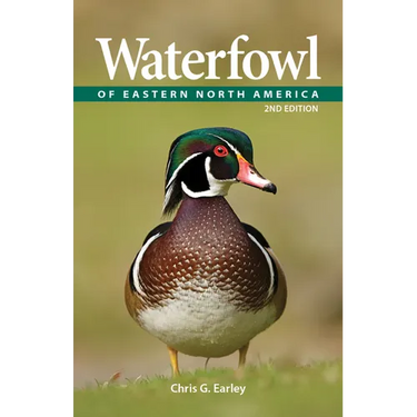Waterfowl of Eastern North America