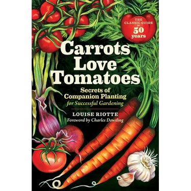 Carrots Love Tomatoes: Secrets of Companion Planting for Successful Gardening