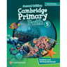 Cambridge Primary Path Level 5 Grammar and Writing Workbook