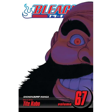 Bleach, Vol. 67: Black