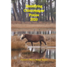 Identifying Chincoteague Ponies 2020