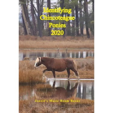 Identifying Chincoteague Ponies 2020