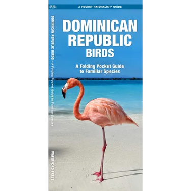 Dominican Republic Birds: A Folding Pocket Guide to Familiar Species
