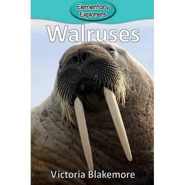 Walruses