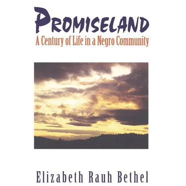Promiseland: A Century of Life in a Negro Community