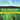 Seed vs. Non Seed Plants: A Lesson on Plant Life Cycles Life Science Biology 5th Grade Children's Biology Books
